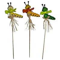 Los mejores  - Reila Pick para Plantas